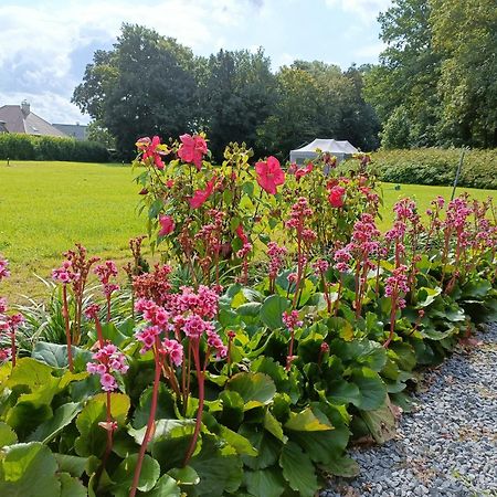 B&B Het Doctershoes Kinrooi Esterno foto