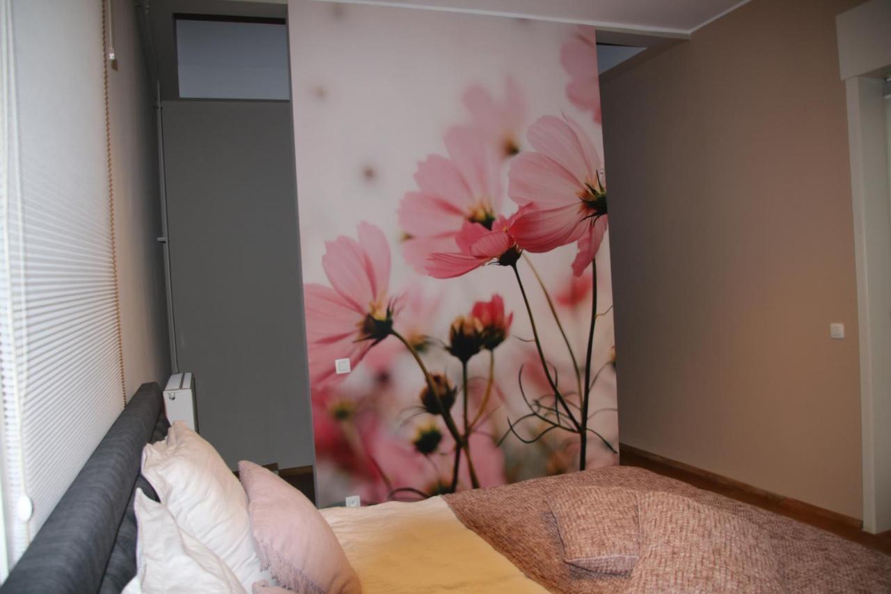 B&B Het Doctershoes Kinrooi Esterno foto