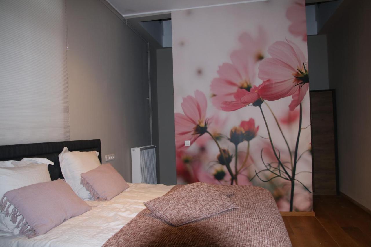 B&B Het Doctershoes Kinrooi Esterno foto