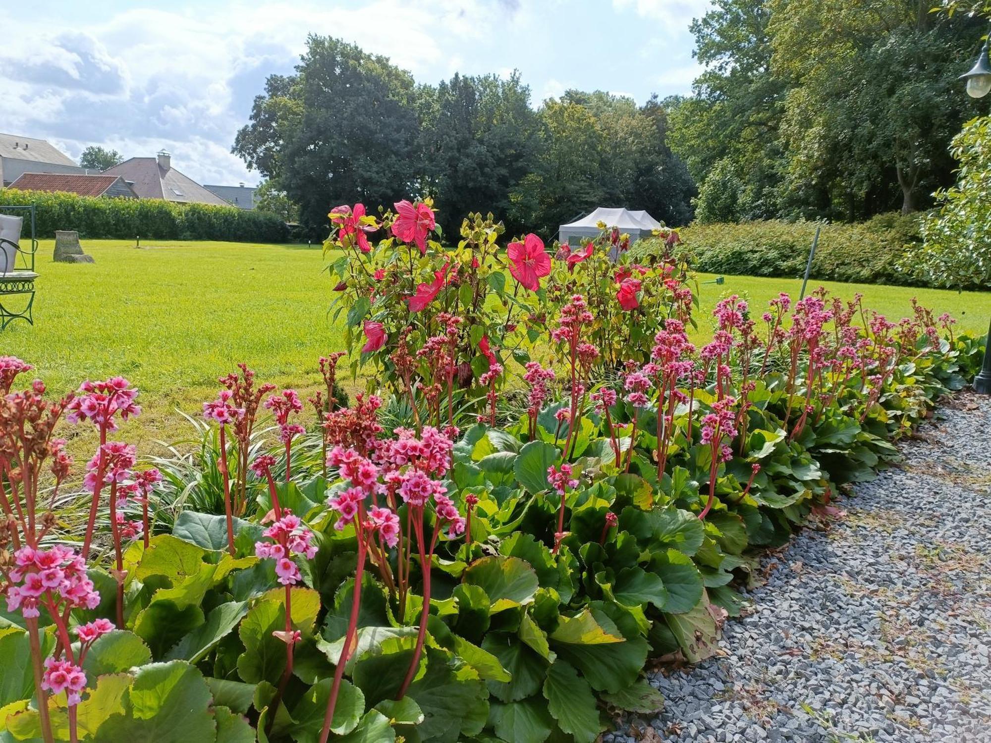 B&B Het Doctershoes Kinrooi Esterno foto